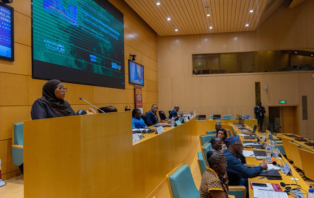 Rais Samia Suluhu Hassan akizungumza na wanahabari juu ya ufadhili endelevu wa kutokomeza Malaria pembezoni mwa Mkutano wa Wakuu wa Nchi wa Umoja wa Afrika, leo Februari 14, 2026 jijini Addis Ababa, Ethiopia.